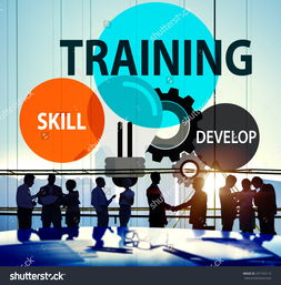 培訓技能、開發(fā)能力與專業(yè)知識 技術(shù)咨詢中的核心概念